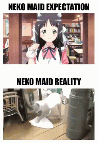 Neko Maid Expectation Vs Reality GIF