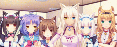 Nekopara All Characters GIF