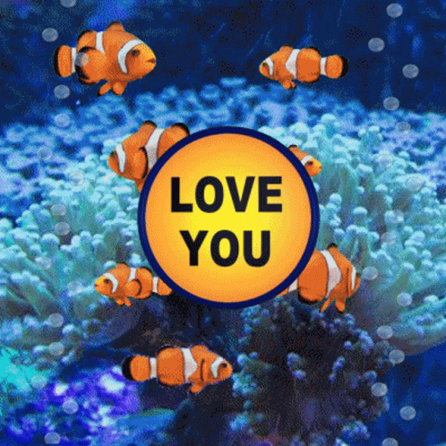 Nemo Fish I Love You GIF