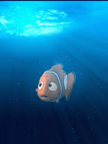 Nemo Fish Swimming Bubbles GIF