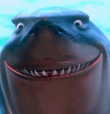 Nemo Shark Friend Big Smile GIF