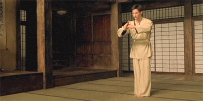 Neo Kung Fu Matrix GIF