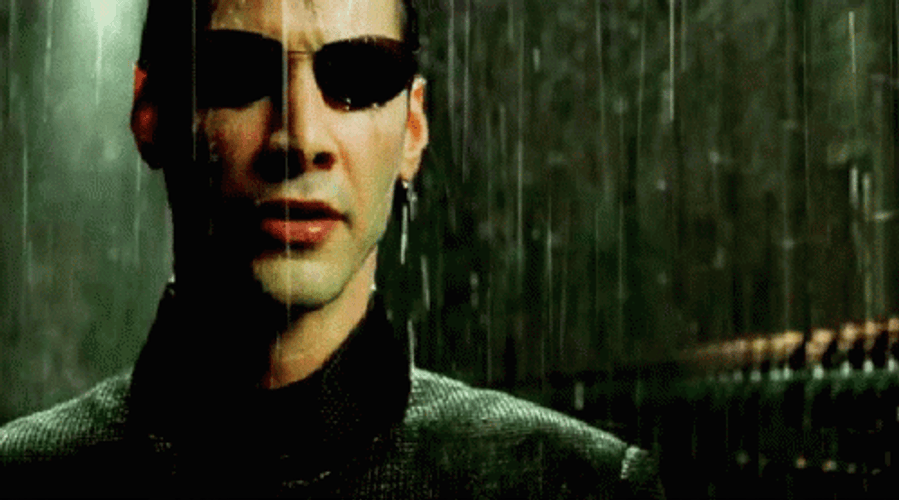 Neo Matrix GIFs GIFDB