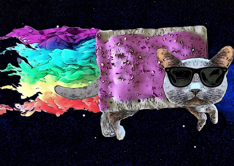 Neon Cat Wearing Shades GIF