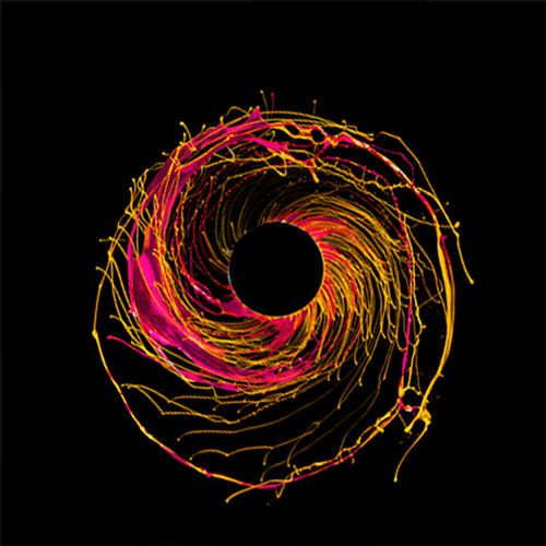 Neon color spiral nest GIF