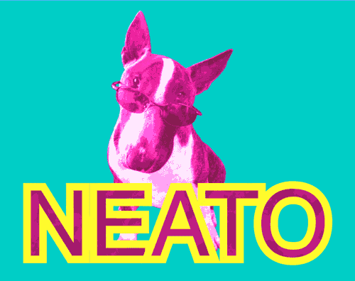 Neon Colored Dog Neat GIF