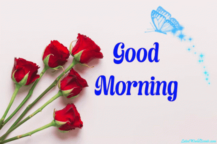 Neon Colors Good Morning Rose GIF