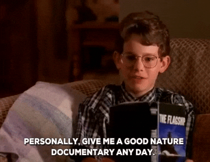 Nerd Alert Joey Zimmerman Halloween Town GIF