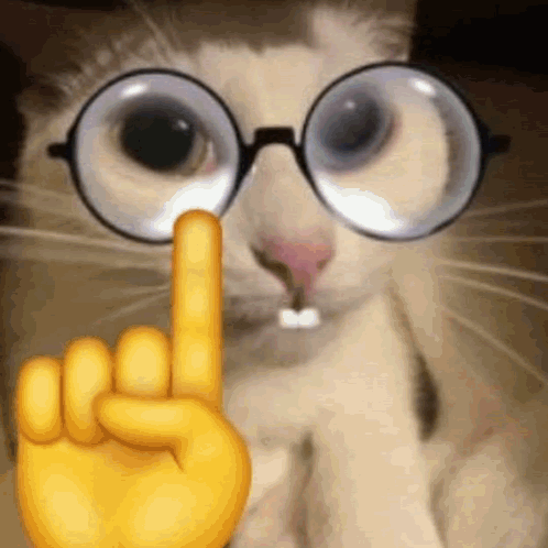 Nerd Cat Gamer Number One Meme GIF