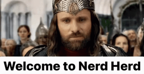 Nerd Herd Aragorn Viggo Mortensen GIF