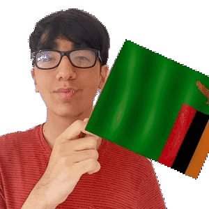 Nerdy Kid Holding The Flag Of Zambia GIF