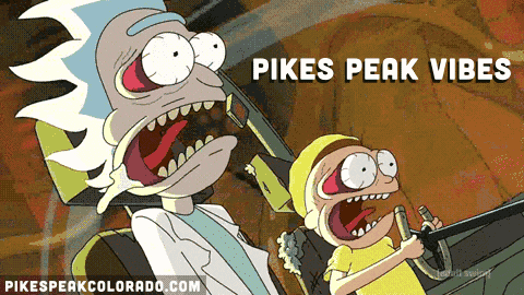 Nervous Rick And Morty Driving Fast Car GIF