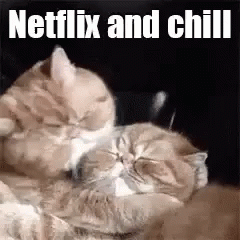 Netflix And Chill Reality GIF