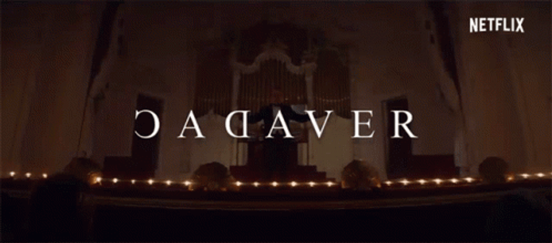 Netflix Cadaver Intro GIF
