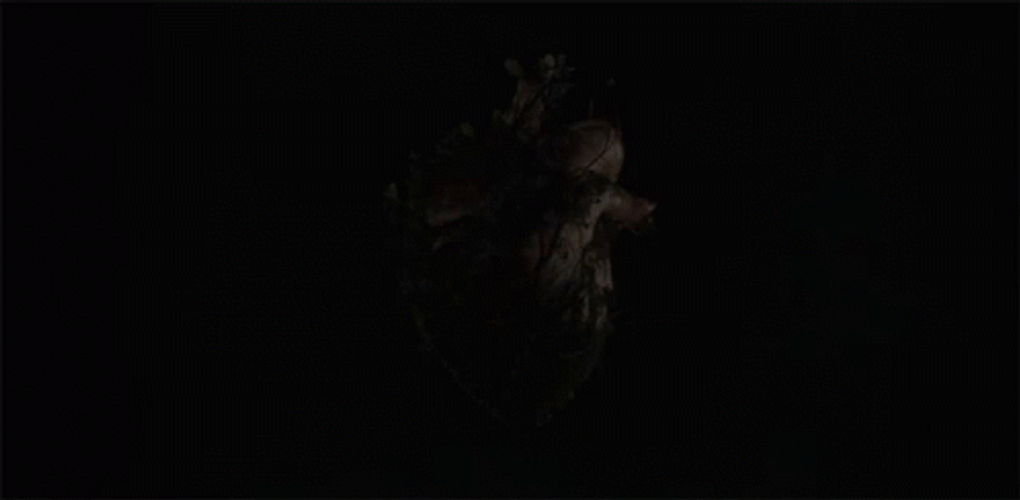 Netflix Fontera Verde Intro GIF
