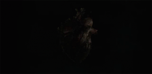 Netflix Fontera Verde Intro GIF