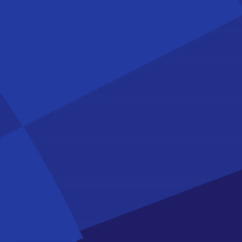 Netherlands Euro 2024 GIF