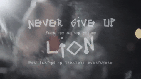 Never Give Up Lion Music Video GIF