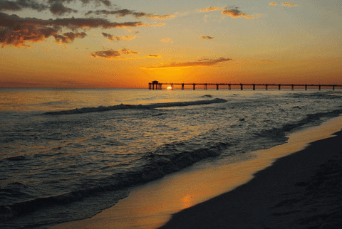 Never Give Up Motivational Quotes GIF