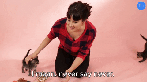 Never Say Never Loving Furmom GIF
