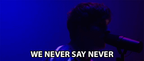 Never Say Never Robin Lundback GIF