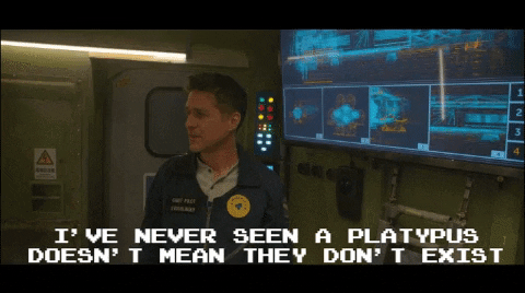 Never Seen A Platypus GIF