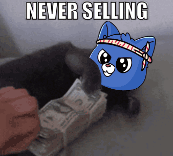 Never Selling Blue Cat GIF
