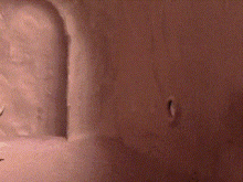 Neverhood Pressing Easy Button GIF