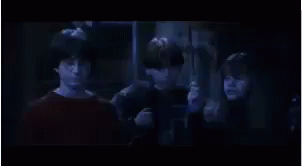 Neville Longbottom Petrified GIF