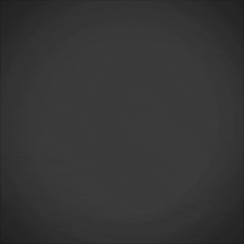 New Budget Same Old Story GIF