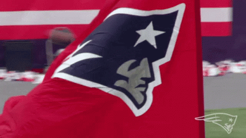 New England Patriots GIF