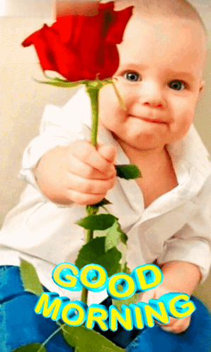 New Good Morning Baby Gives Flower GIF