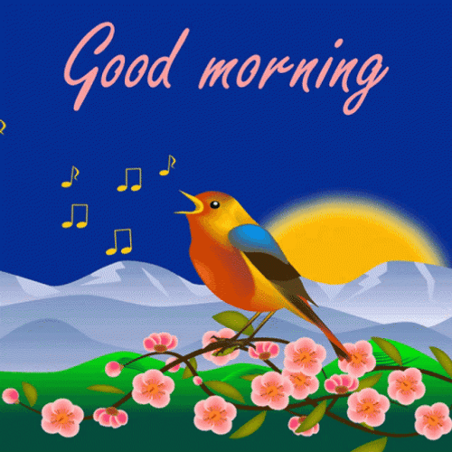 New Good Morning Bird Singing GIF