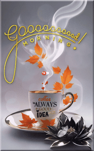 New Good Morning Coffee Always A Good Idea GIF