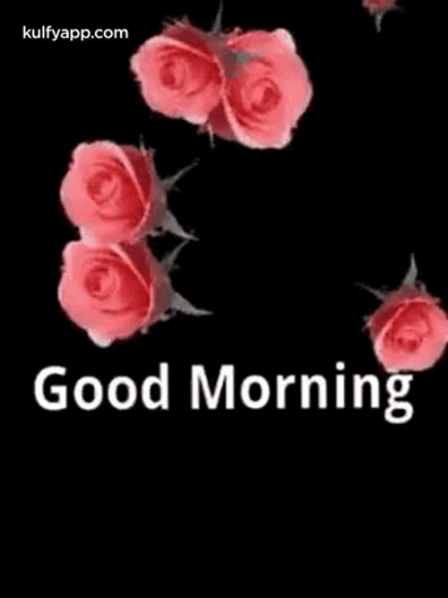 New Good Morning GIF File 612Kb GIF