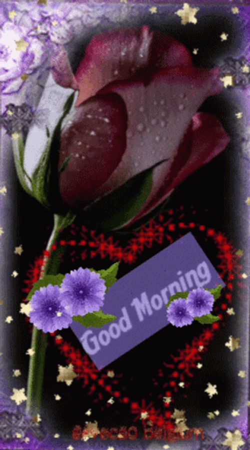 New Good Morning GIF File 756Kb GIF