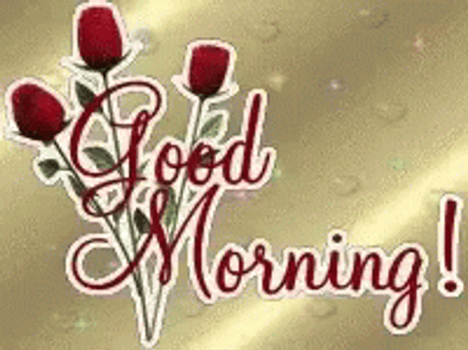 New Good Morning Rose In Gold GIF