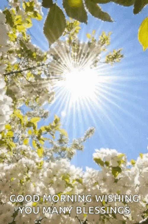 New Good Morning Wishing You Many Blessings GIF