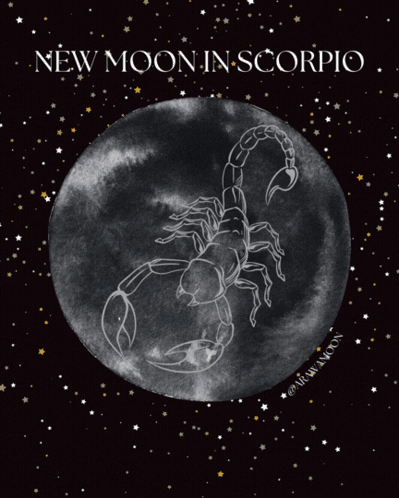 New Moon in Scorpio Poster with Scorpion