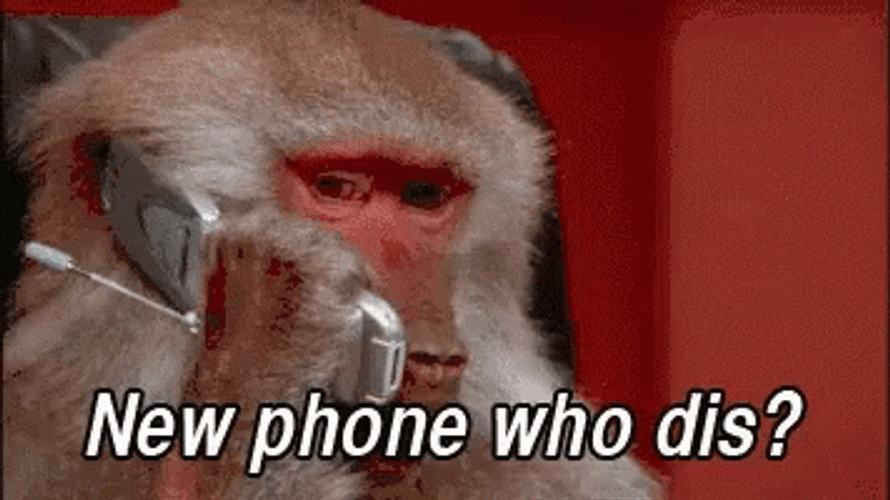 New Phone Who Dis Monkey Baboon Funny GIF