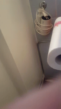 New Toilet Paper GIF