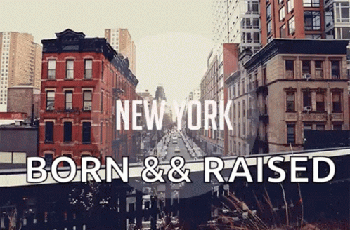 New York 498 X 328 Gif GIF
