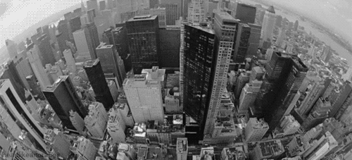 New York City Fish Eye View GIF
