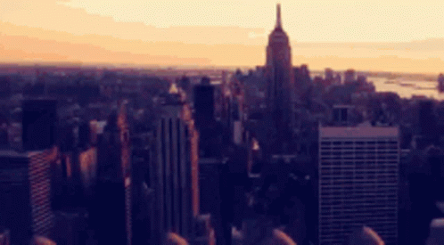 New York City Lights Night Life GIF