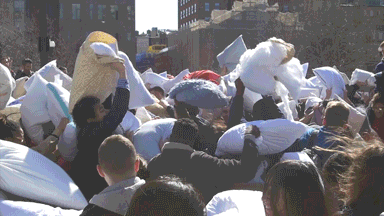 New York City Pillow Fight GIF