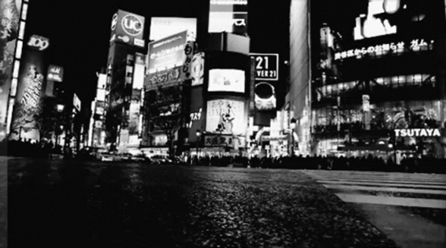 New York Crowd Timelapse GIF