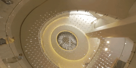 New York Harvey Specter Top Kitten GIF