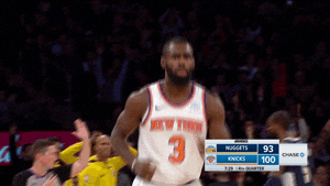 New York Knicks Tim Hardaway Jr GIF