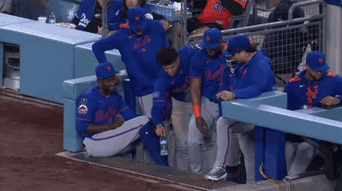 New York Mets in Dugout