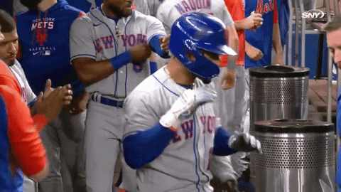 New York Mets Lfgm Waving GIF